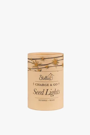 Charge & Go Silver Warm White Rechargable 3m String Seed Lights