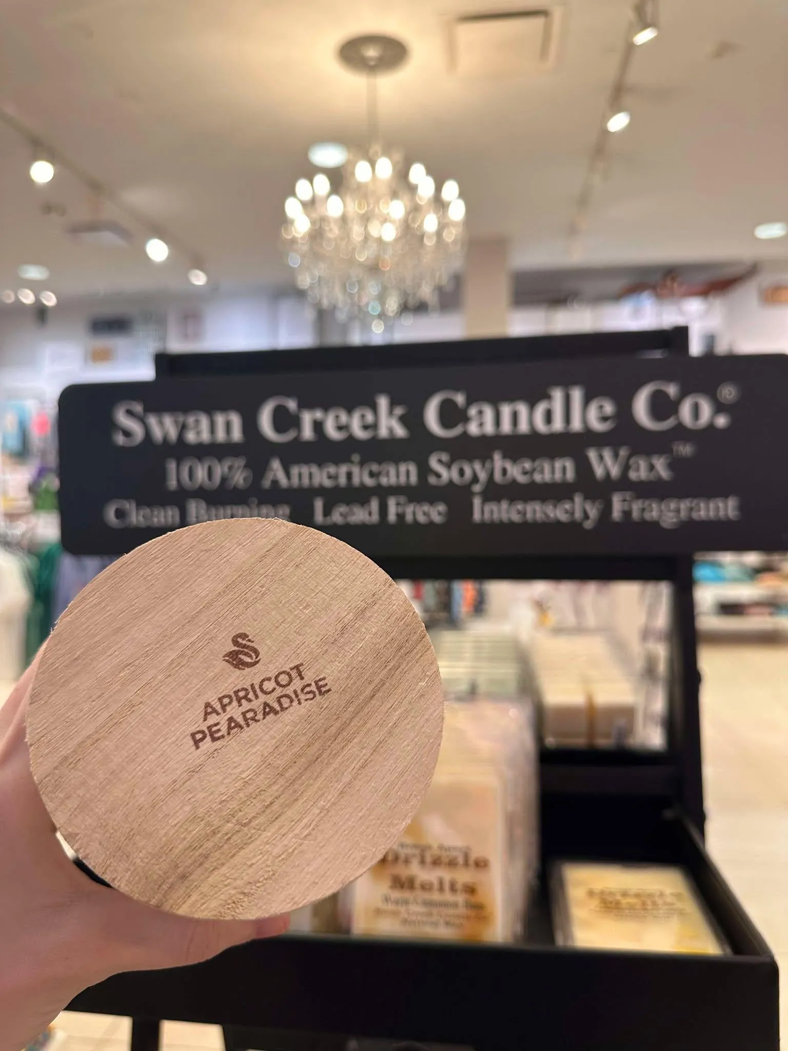 Swan Creek APRICOT PEARADISE Timeless Jar Candle